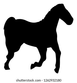 Running horse silhouette isolated on the wight background