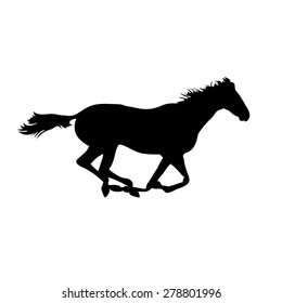 Running horse Silhouette realistic drawing on isolated background