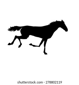 Running horse Silhouette realistic drawing on isolated background