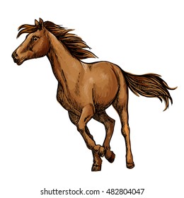 Running horse sketch with galloping brown arabian racehorse. Equestrian sporting competition, horse racing or t-shirt print design