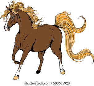 Running horse. The unusual coloring. Coloured Horse.