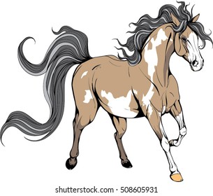 Running horse. The unusual coloring. Coloured Horse.