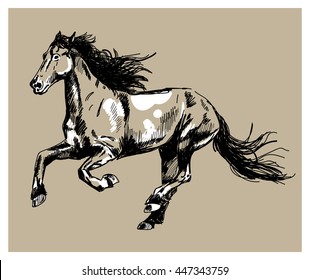 
Running horse. Vector freehand drawing , engraving .