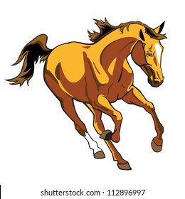 running  horse , vector picture isolated on white background,front view image
