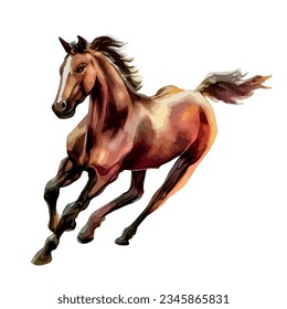 running horse watercolor illustration, horse gallop art