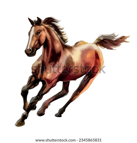 running horse watercolor illustration, horse gallop art