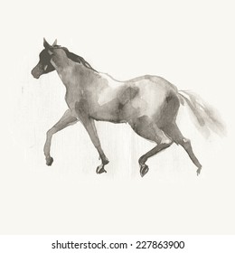 Running horse. Watercolor. Vector illustration.