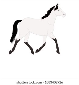 running horse- white horse- horse drawing- vector design- graphic