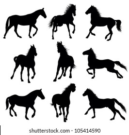  Running horses detailed silhouettes. set. Vector eps 8