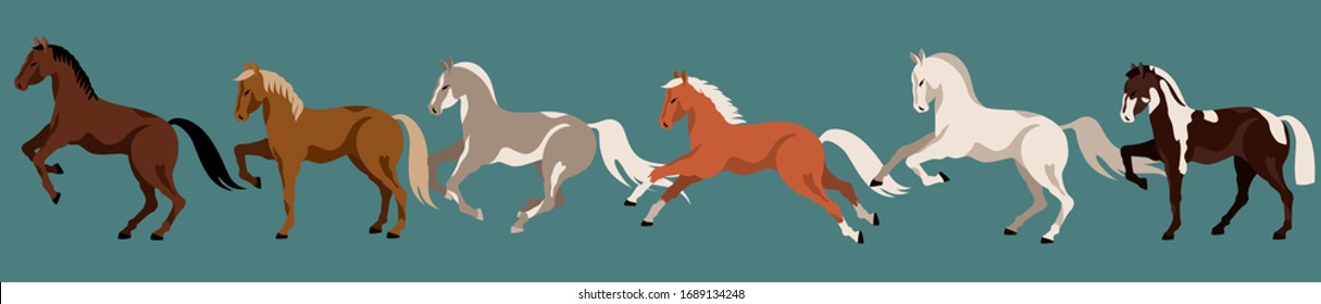 Running horses isolated vector elements. Horse breeds. Variety of beautiful farm animals and poses. Modern hand drawn horses. Isolated elements on a dark green/ blue background. Running and standing.