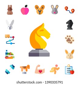 running icon set. 17 flat running icons.  Simple modern icons about  - rabbit, track, horse, diet, gym, exercise, run