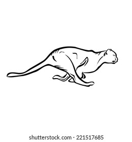 Running Jaguar
