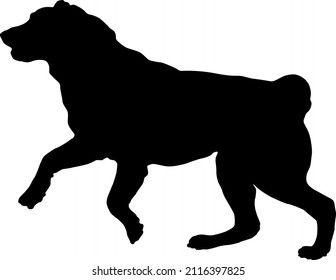 Running and jumping central asian shepherd dog puppy. Black dog silhouette. Pet animals. Isolated on a white background. Vector illustration.