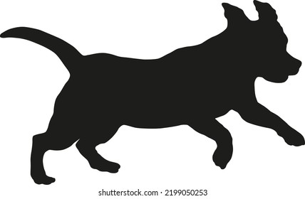 Running and jumping english beagle puppy. Black dog silhouette. Pet animals. Isolated on a white background. Vector illustration.