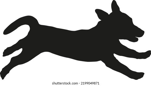 Running and jumping jack russell terrier puppy. Black dog silhouette. Pet animals. Isolated on a white background. Vector illustration.