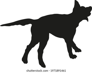 Running and jumping labrador retriever. Black dog silhouette. Isolated on a white background. Vector illustration.