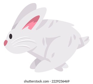 Running jumping rabbits bunnies or bunny cute adorable animal with furry hair in white color
