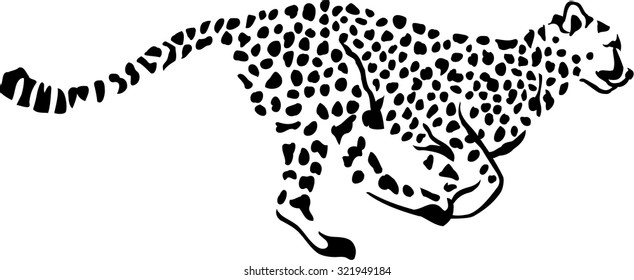 Running Leopard Gepard