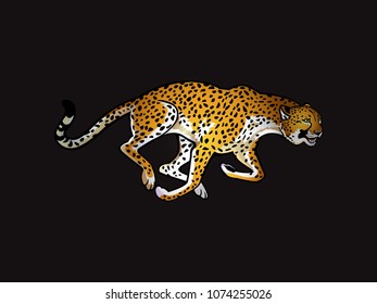 Running leopard on a black background