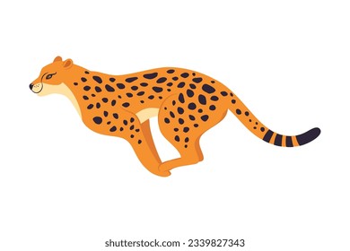 Running Leopard as Wild Cat with Long Spotted Body Vector Illustration