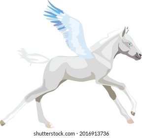 Running little pegasus, vector illustration
