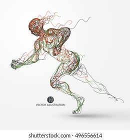 Running man, colored lines drawing, vector illustration.