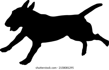 Running miniature bull terrier puppy. Black dog silhouette. Pet animals. Isolated on a white background. Vector illustration.