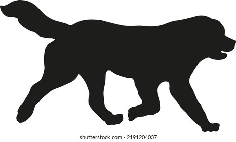 Running newfoundland puppy. Black dog silhouette. Pet animals. Isolated on a white background. Vector illustration.