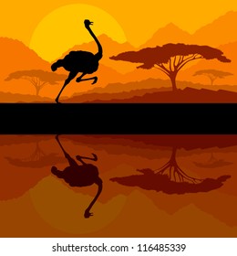 Running ostrich bird in wild mountain nature landscape background illustration vector