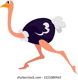 Laufend Strauß, Illustration, Vektorgrafik auf weißem Hintergrund.