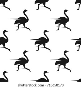 Running ostrich seamless pattern. Vector illustration for backgrounds