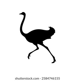 Running ostrich silhouette vector flat illustration design on white background.