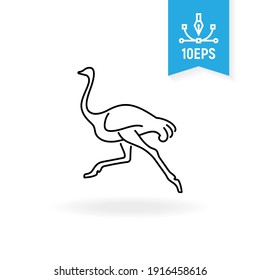 Running ostrich vector icon. Wild bird illustration. 