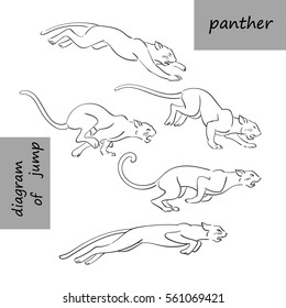 Running Panther, Diagram