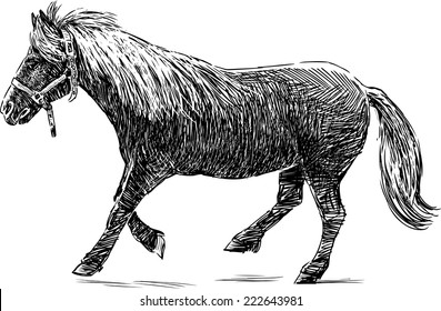 running pony