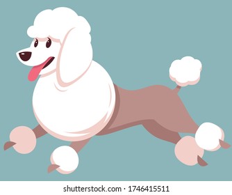 Running Poodle side view. Cute pet in cartoon style.