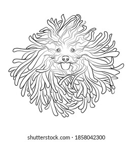 Running puli dog. Dog with dreadlocks. Line drawing. Black and white illustration. Vector.