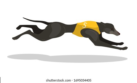 Running purebred dog in coursing dress. Dog racing concept. Sporrt dog running fast in speed competition. Vector illustration in cartoon style