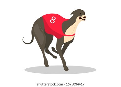 Running purebred dog in coursing dress. Dog racing concept. Sporrt dog running fast in speed competition. Vector illustration in cartoon style