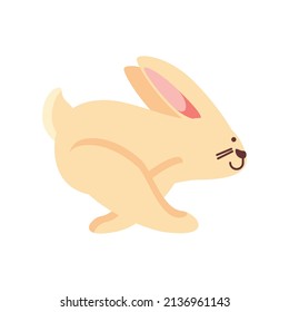 Running Rabbit Icon Isolated Flat