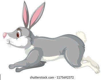 Un conejo en ejecución en una ilustración de fondo blanco