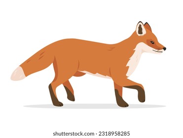 Running red fox. Wild anomal Fox icon isolated on white background. Vector illustration.