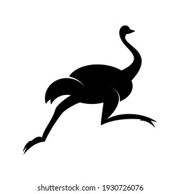 running shiluet ostrich fast animal on earth