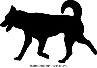 Corriendo perrito husky siberiano. Silueta de perro negro. Animales de mascotas. Aislado sobre un fondo blanco. Ilustración vectorial.