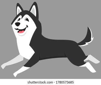 Running Siberian Husky side view. Cute pet in cartoon style.