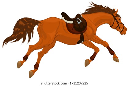 Running sorrel horse equipped for show jumping practice. Steed wears sport saddle, English bridle and splint boots.  Stallion gallops with legs stretched out. Vector emblem for equestrian clubs.