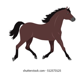 Running sorrel horse flat style vector. Domestic animal. Country inhabitants concept. Illustration for farming, animal husbandry, horse sport companies. Agricultural species. Isolated on white