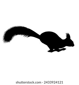 Running squirrel silhouette. Vector illustration isolated on a white background