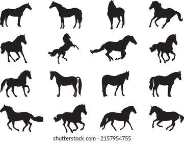 running stallion horse. Galloping wild pony mustang .Black and white isolated vector illustration