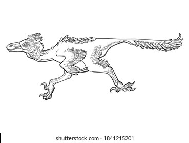 Running velociraptor. Black linear hand drawing isolated on a white background. Coloring Book page. EPS10 Vector illustration